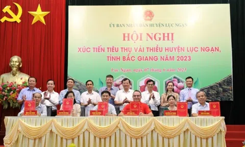 WinMart dự kiến tiêu thụ 200 tấn vải thiều Bắc Giang