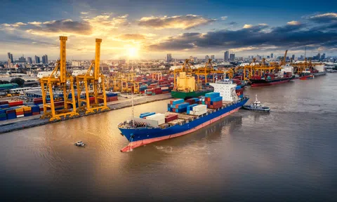 Chính sách ngoại thương 2023 của Ấn Độ: Các doanh nghiệp Việt Nam có thể hưởng lợi gì?
