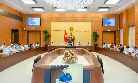 Tiếp tục rà soát, hoàn thiện một số chế định quan trọng trong dự thảo Luật Đấu thầu (sửa đổi) và Luật Giá (sửa đổi)