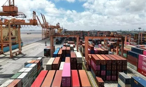 Bộ Công thương cảnh báo lừa đảo nông sản tại Dubai, khuyến cáo doanh nghiệp Việt Nam thận trọng trong giao dịch