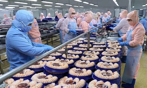 Xuất khẩu sang Israel: Sức mua lớn đòi hỏi hàng hóa chất lượng cao