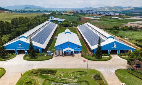Môi trường bền vững - Yếu tố sống còn đối với ngành F&B?