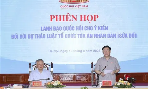 Chủ tịch Quốc hội chủ trì họp về dự thảo Luật Tổ chức Tòa án nhân dân (sửa đổi)