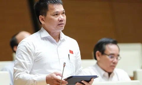 Sửa đổi Luật Đất đai: Làm rõ thẩm quyền của chính quyền địa phương trong chuyển đổi mục đích sử dụng đất