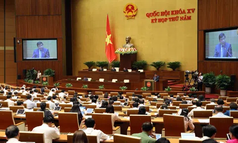Hoàn thiện cơ chế tổ chức thực hiện pháp luật trong Nhà nước pháp quyền xã hội chủ nghĩa Việt Nam
