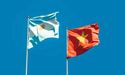 Chủ tịch nước phê chuẩn Hiệp định tương trợ tư pháp về hình sự giữa Việt Nam và Argentina