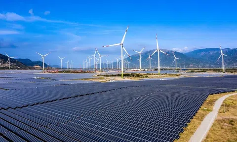 Thanh tra Chính phủ chuyển 9 vụ việc về điện sang Bộ Công an điều tra