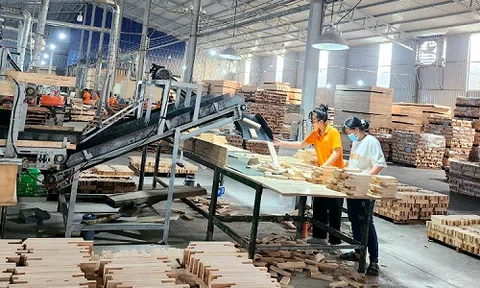 Trường Linh Phát khẳng định thương hiệu “tóp đầu” trong lĩnh vực ván ghép cao su