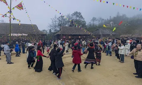Sa Pa: Miễn phí vé tàu hỏa Mường Hoa cho 5 tỉnh, Fansipan hút khách mùa hoa đào nở rộ