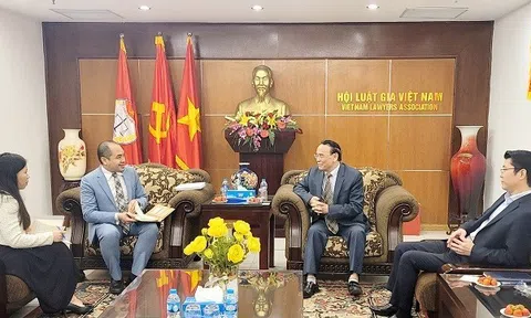Lãnh đạo Hội Luật gia VN và đại diện PCA tại Việt Nam trao đổi kinh nghiệm và đề xuất hợp tác một số lĩnh vực pháp lý