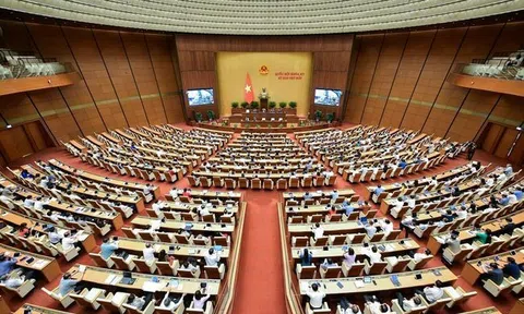 Sửa Luật BHXH: Đại biểu QH đề nghị làm rõ mức tham chiếu tính BHXH thay cho mức lương cơ sở
