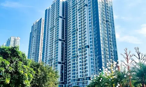Đằng sau những dự án “mát tay” của MIK Group