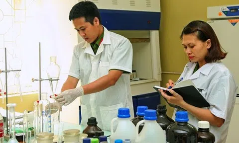 Thủ tục cấp lại thẻ giám định viên tư pháp ở cấp Trung ương và cấp tỉnh