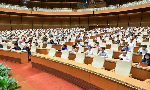 Góp ý dự thảo Luật Tư pháp người chưa thành niên: Cần làm rõ nội hàm và hoàn thiện một số giải pháp để thực hiện có hiệu quả các biện pháp xử lý chuyển hướng