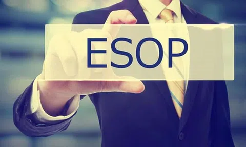 Doanh nghiệp cần lưu ý điều gì khi phát hành cổ phiếu ESOP