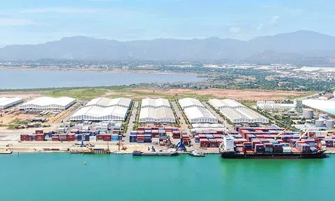 THILOGI đăng ký thành công giấy phép FMC