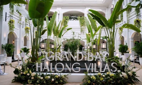 Khai màn chuỗi sự kiện trải nghiệm chất sống tinh hoa The Grand Living Series