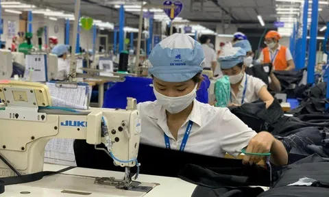 Chính thức xử lý hình sự đối với hành vi trốn đóng BHXH