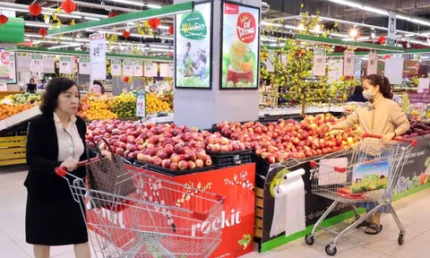 Từ ngày 1/7-31/12/2024, giảm thuế giá trị gia tăng xuống 8%