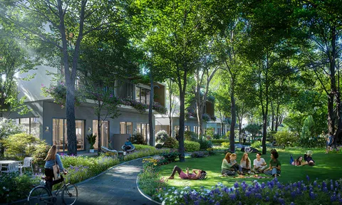 Thương hiệu thiết kế kiến trúc lâu đời nhất Singapore kiến tạo không gian sống tại Blue Zones đầu tiên Việt Nam