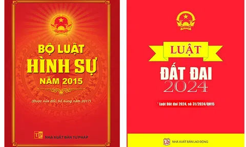 Những dấu hiệu pháp lý hình sự của tội phạm liên quan lĩnh vực quản lý Nhà nước về đất đai