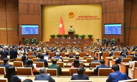 Nâng cao hiệu quả thi hành Luật Đất đai: Chống lãng phí và vi phạm trong sử dụng đất công trong khu vực sự nghiệp công lập và doanh nghiệp nhà nước