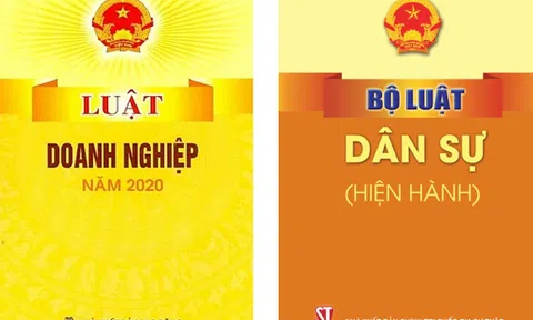 Một số qui định của Luật Doanh nghiệp bất cập, thiếu thống nhất với Bộ Luật Dân sự, Luật Đầu tư và Luật SHTT