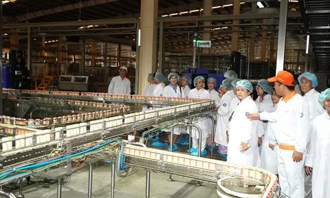CLB sức khỏe người cao tuổi TP.HCM tham quan nhà máy sữa lớn nhất của Vinamilk