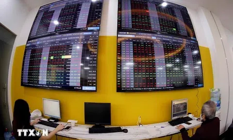 Nhiều chính sách mới về kinh tế và tư pháp có hiệu lực từ tháng 11/2024