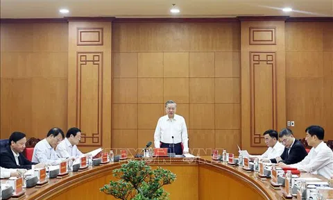 Tổng Bí thư Tô Lâm chủ trì họp Thường trực Ban Chỉ đạo Trung ương về phòng, chống tham nhũng, lãng phí, tiêu cực