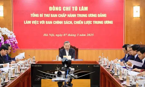 Tổng Bí thư Tô Lâm: Phải có chiến lược rõ ràng phát triển kinh tế tư nhân