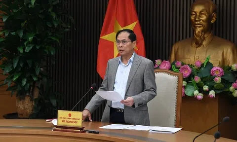 Phó thủ tướng: Nâng cấp hiệp định thương mại song phương với Mỹ