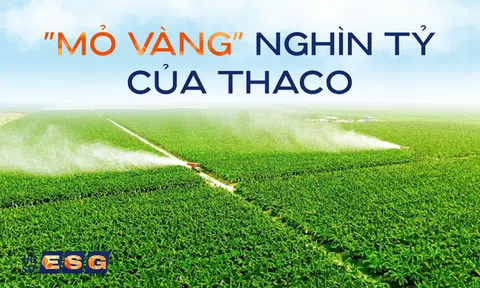 THACO vừa thâu tóm doanh thu khủng: 2.200 tỷ từ "mỏ vàng" 840 km2 xuyên biên giới