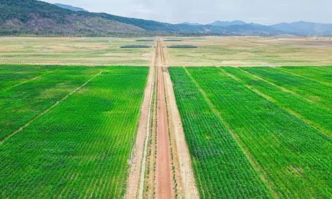 KLH HAGL Agrico Lào “thay màu áo mới” cho vùng đất Nam Lào