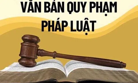 Ứng dụng AI trong xây dựng, hoàn thiện Cổng Pháp luật quốc gia
