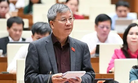 Bỏ tử hình một số tội danh: Không phải khoan dung với tội phạm mà là điều chỉnh phù hợp