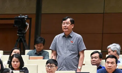ĐBQH nêu lý do cần thiết giao Viện Kiểm sát khởi kiện vụ án dân sự
