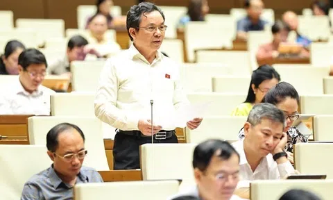 Quốc hội thảo luận về cơ chế xử lý khó khăn, vướng mắc do quy định của pháp luật