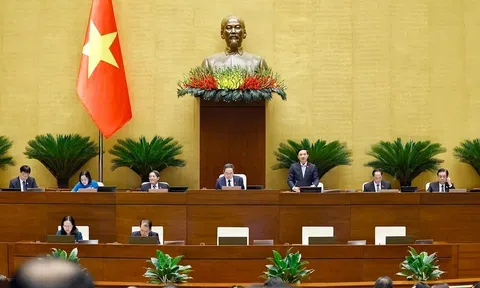 Chính phủ được ban hành nghị quyết điều chỉnh luật để xử lý vướng mắc