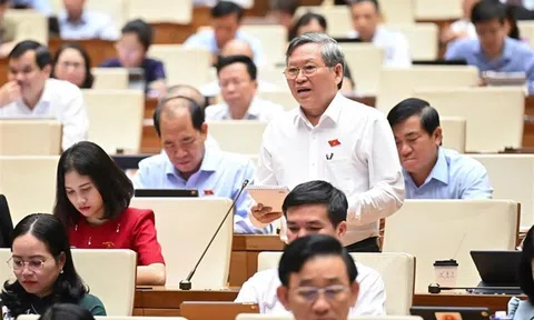Hoàn thiện pháp luật về dẫn độ theo hướng đồng bộ, chặt chẽ