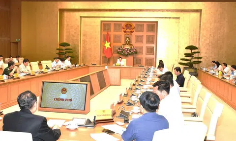 Hoàn thiện dự thảo 3 Nghị định quy định chi tiết Luật 68/2025/QH15, trình Chính phủ trước 25/7