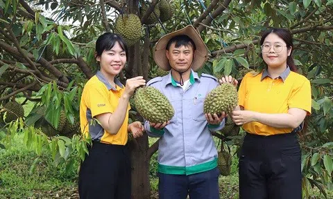 THISO hợp tác cùng THACO AGRI đưa nông sản chất lượng cao vào hệ thống Emart