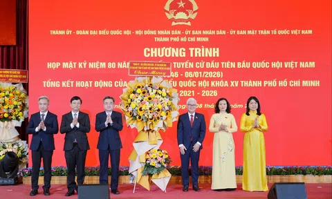 Phát huy vai trò kiến tạo thể chế của Đoàn ĐBQH TP. Hồ Chí Minh