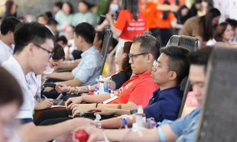 Giọt thương 2025: CBNV ROX Group chung tay hiến máu, lan tỏa giá trị sống đẹp