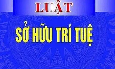 Đề xuất 5 nhóm chính sách sửa đổi, bổ sung một số điều của Luật Sở hữu trí tuệ