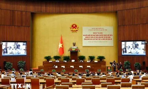 Ràng buộc trách nhiệm pháp lý sàn thương mại điện tử