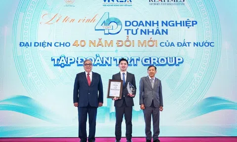 T&T Group của Bầu Hiển được vinh danh Top các doanh nghiệp tư nhân tiêu biểu