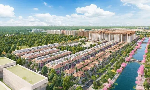 Flora Avenue: Đại lộ hoa nâng tầm trải nghiệm sống giữa lòng Sun Urban City