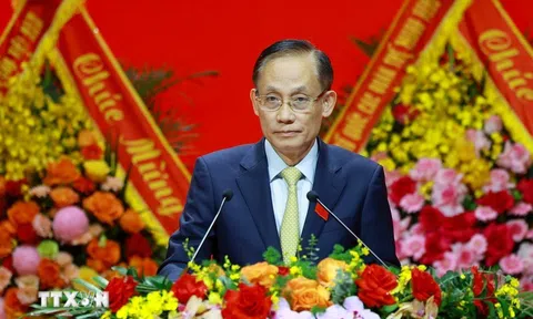 Đảng bộ Chính phủ quyết tâm thực hiện thắng lợi các nhiệm vụ trong kỷ nguyên mới