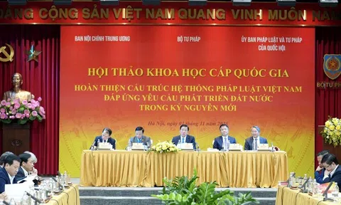 Làm rõ căn cứ lý luận, nền tảng cho việc hoàn thiện cấu trúc hệ thống pháp luật